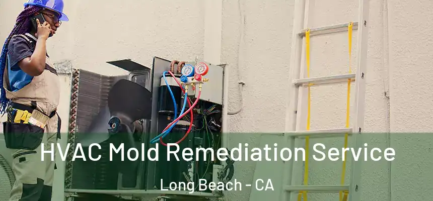HVAC Mold Remediation Service Long Beach - CA