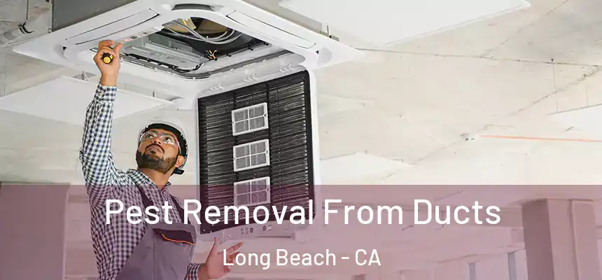 Pest Removal From Ducts Long Beach - CA