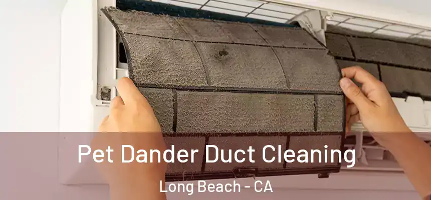 Pet Dander Duct Cleaning Long Beach - CA