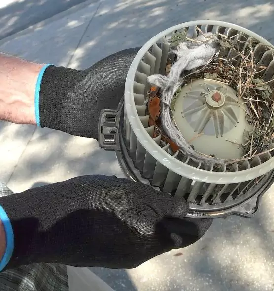 About Air Duct Mice Removal in Long Beach, CA