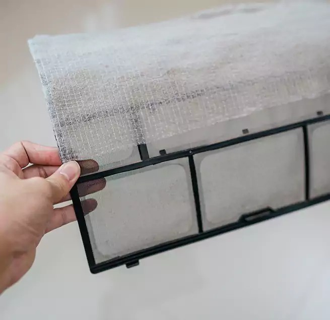 Why Homeowners & Businesses Trust Us in Long Beach, CA?